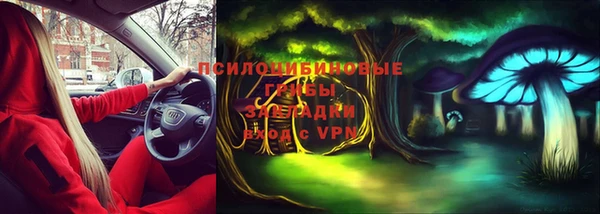 дмт Михайловск