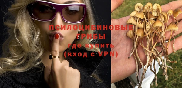 дурь Медногорск
