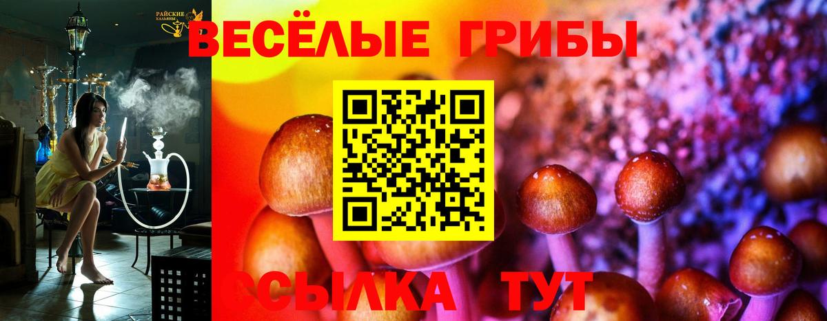 Малоярославец  Галлюциногенные грибы Magic Shrooms  где найти наркотики  Галлюциногенные грибы Cubensis  Вход с VPN 