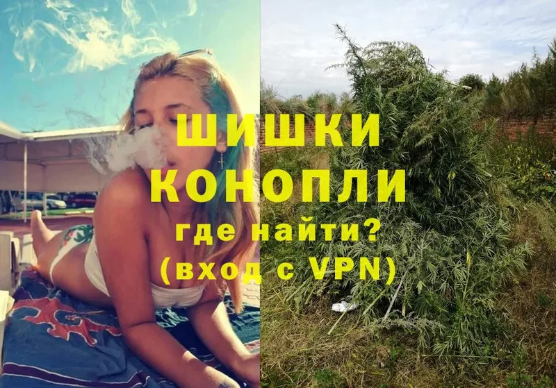 Шишки марихуана марихуана  Малоярославец 