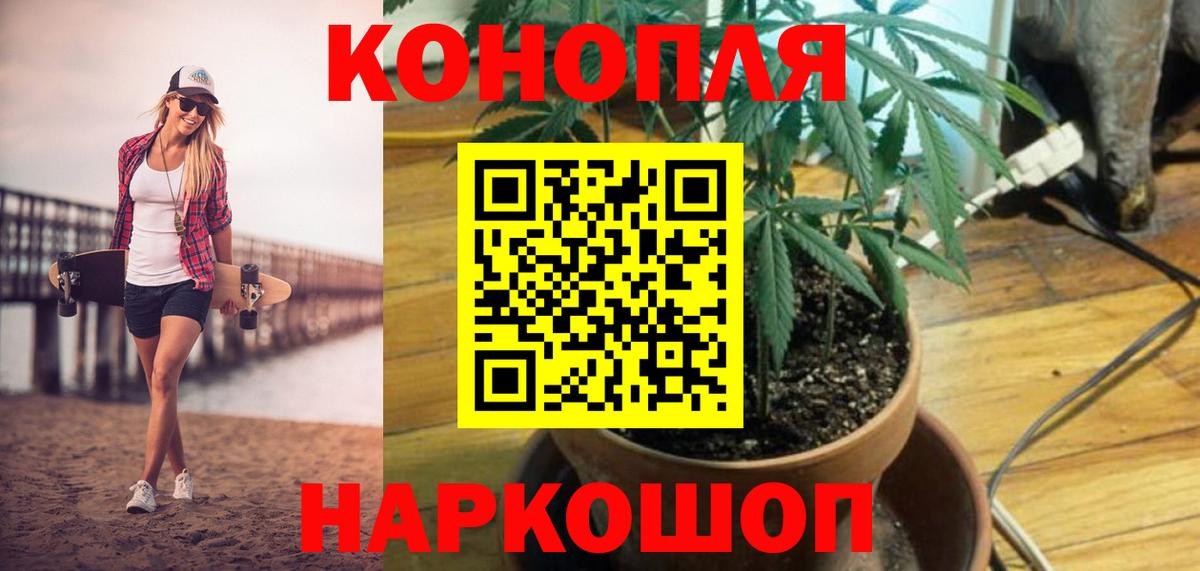Малоярославец  Бошки Шишки сатива  Вход с VPN  Шишки марихуана AK-47 
